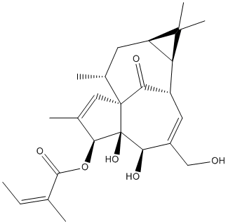 Ingenol Mebutate Structure